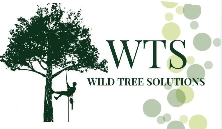Wild Tree Solutions logo — a tree with a climber above the letters WTS.