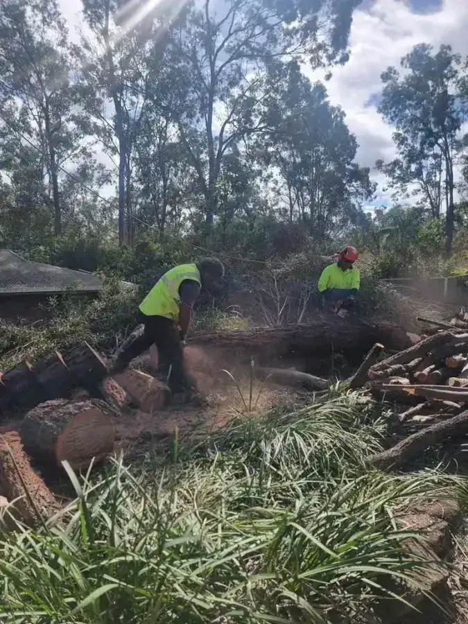 Wild Tree Solutions crew during a tree job on site.