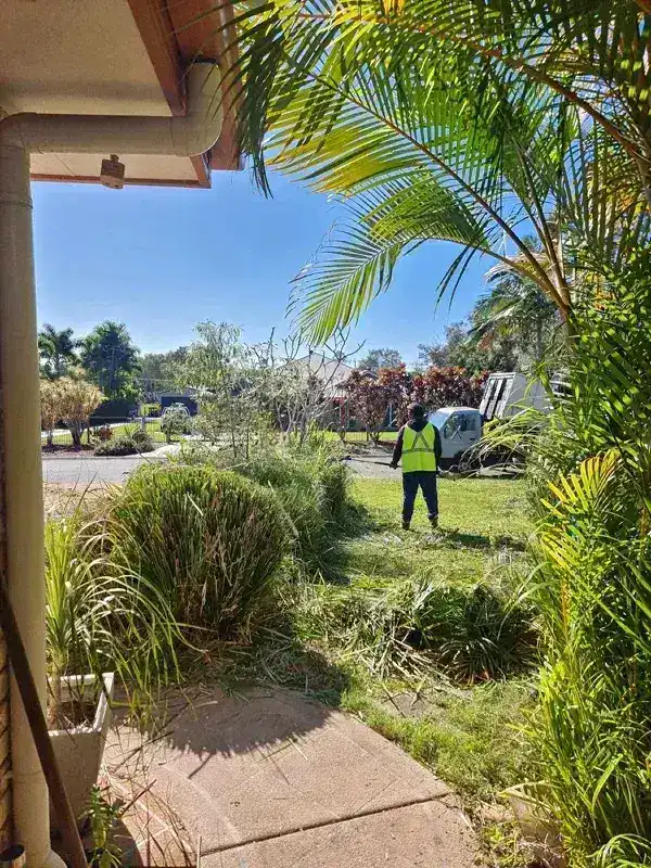 Wild Tree Solutions clearing and tidying a site after tree work.