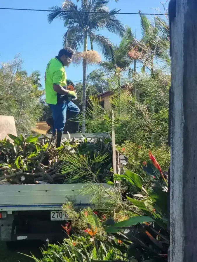 Wild Tree Solutions on the tools during a recent job.