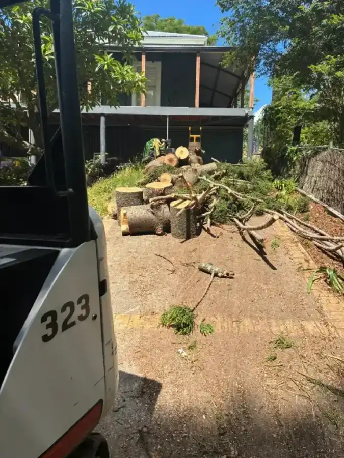 A completed Wild Tree Solutions tree job.